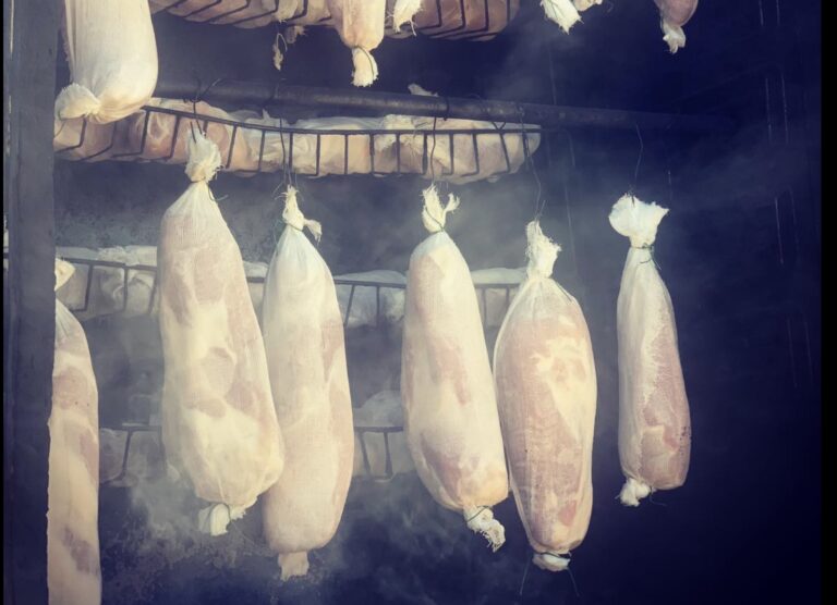 Imagen 19 09 25 a las 9.07 a.m 768x556